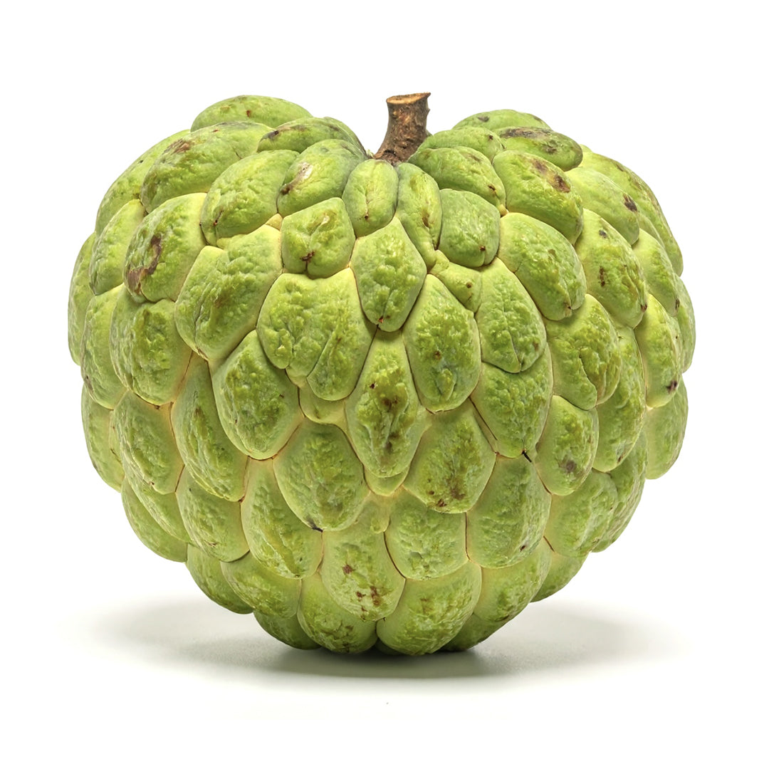 Custard Apple